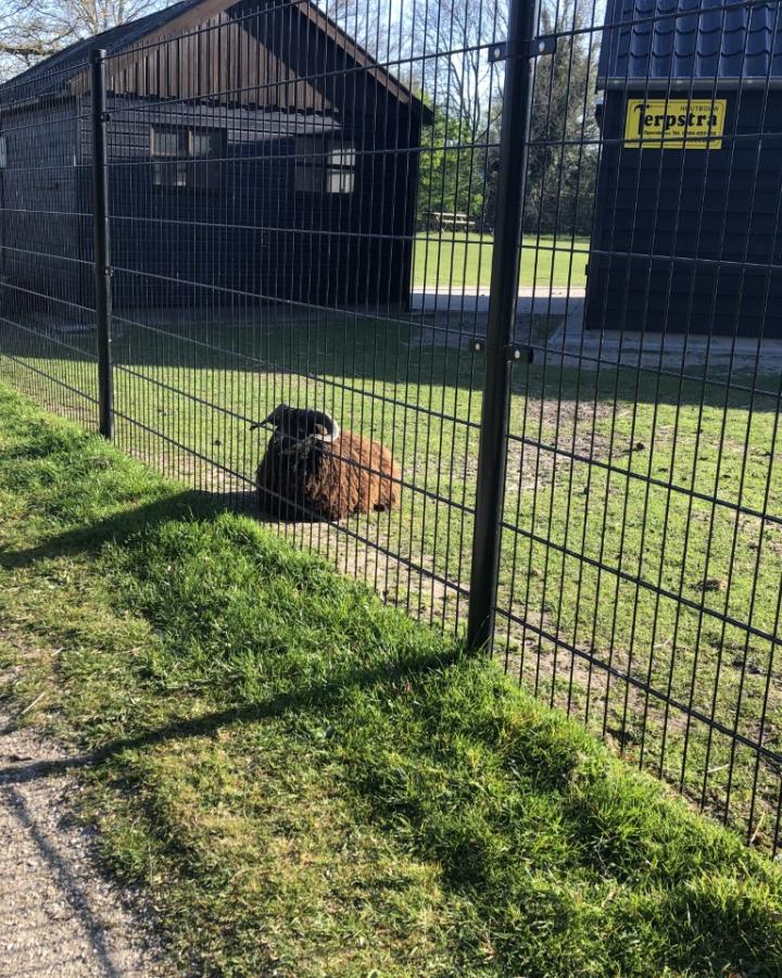 Opening vernieuwde Dierenweide Opende